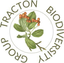 TBG Logo