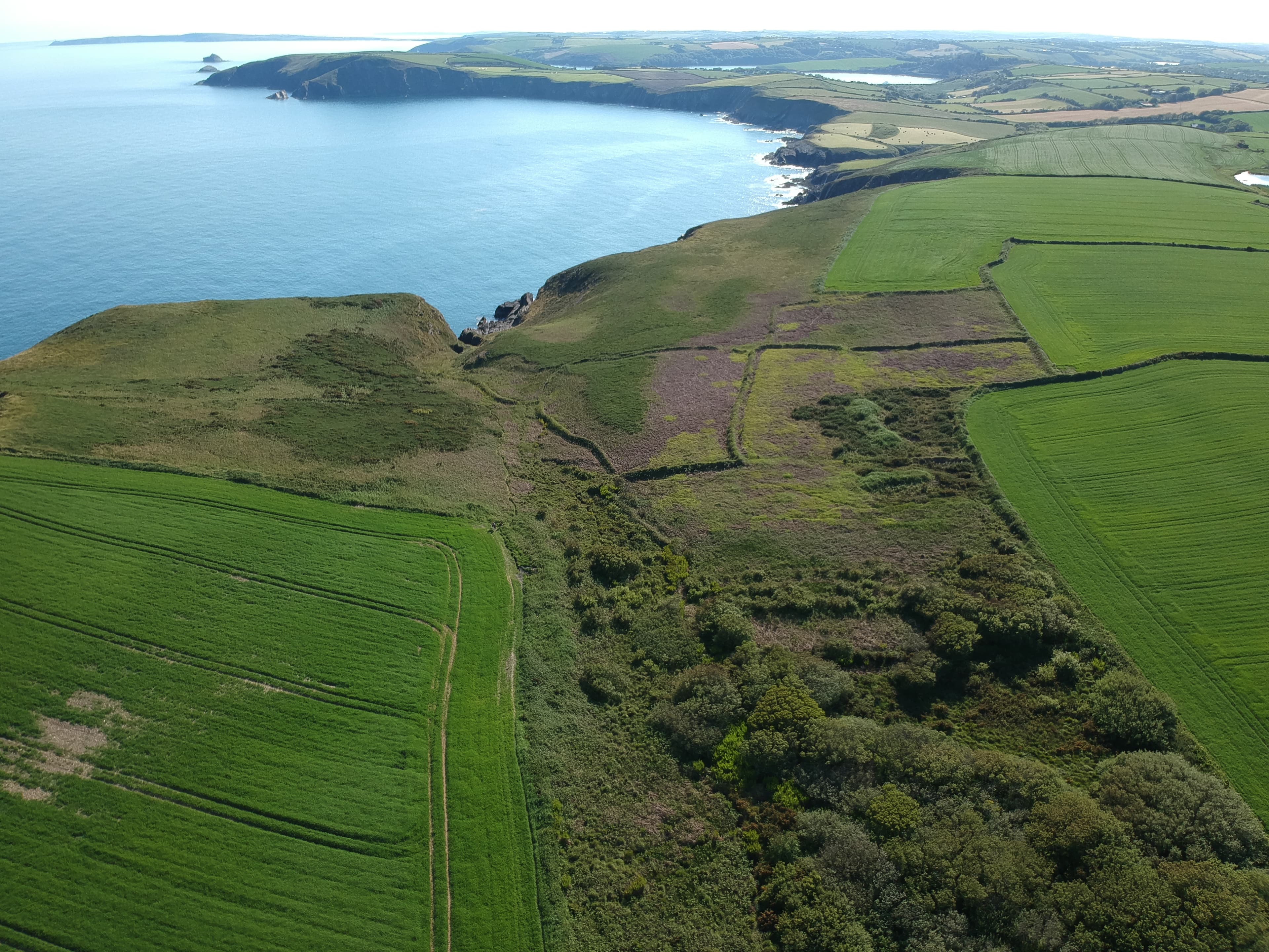 Aerial view of Barry's Head and The Glen — coastal cliffs, heathland and farmland meeting the sea