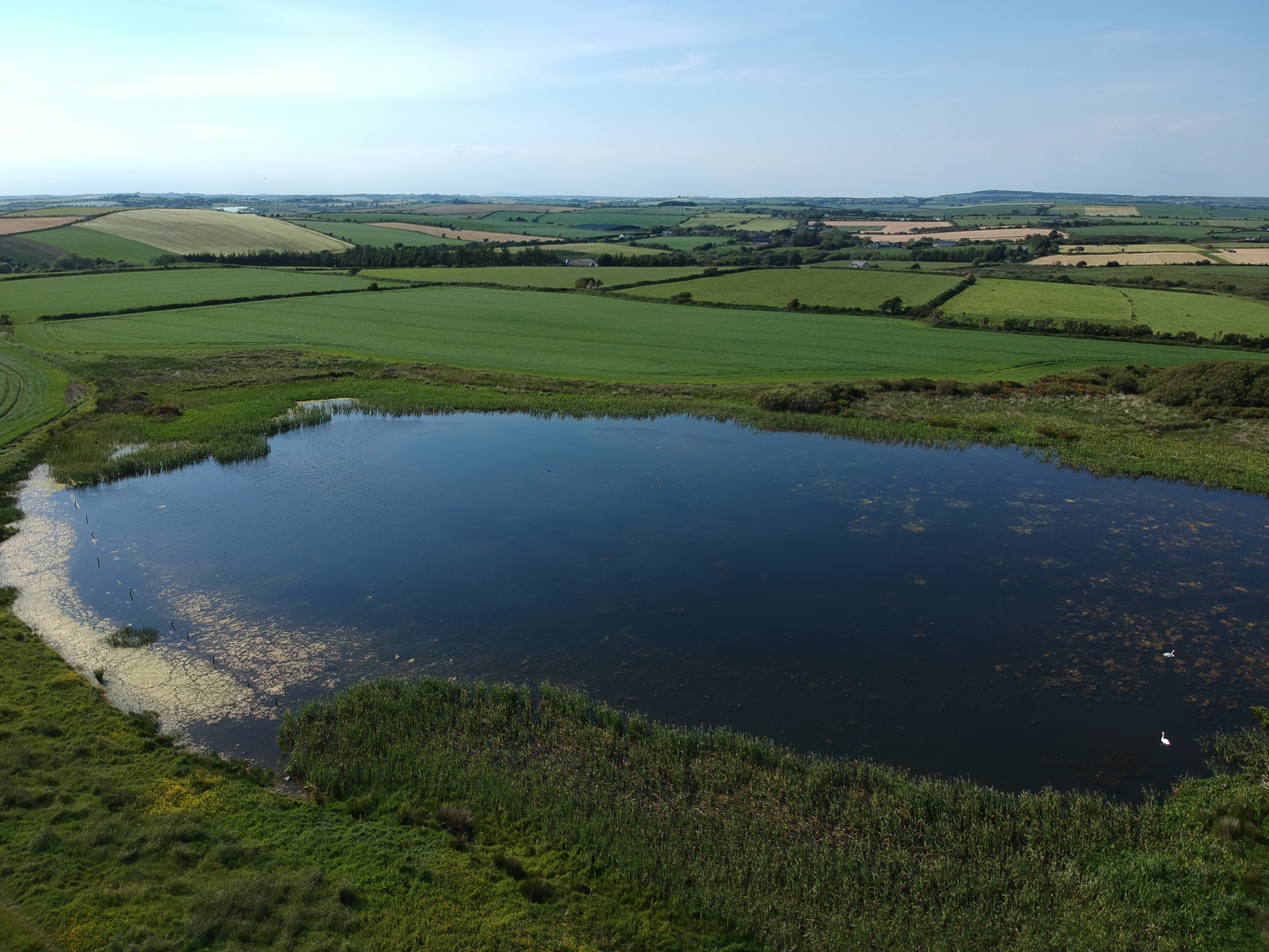 Aerial view of Dunboige Lake with swans, surrounded by green fields and reedbed